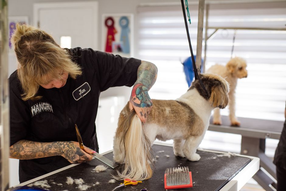 peluquería canina cerca