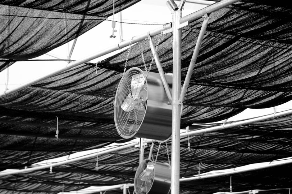 greenhouse equipment
