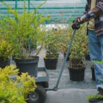 greenhouse equipment