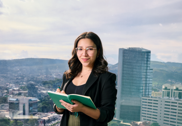 director financiero externo