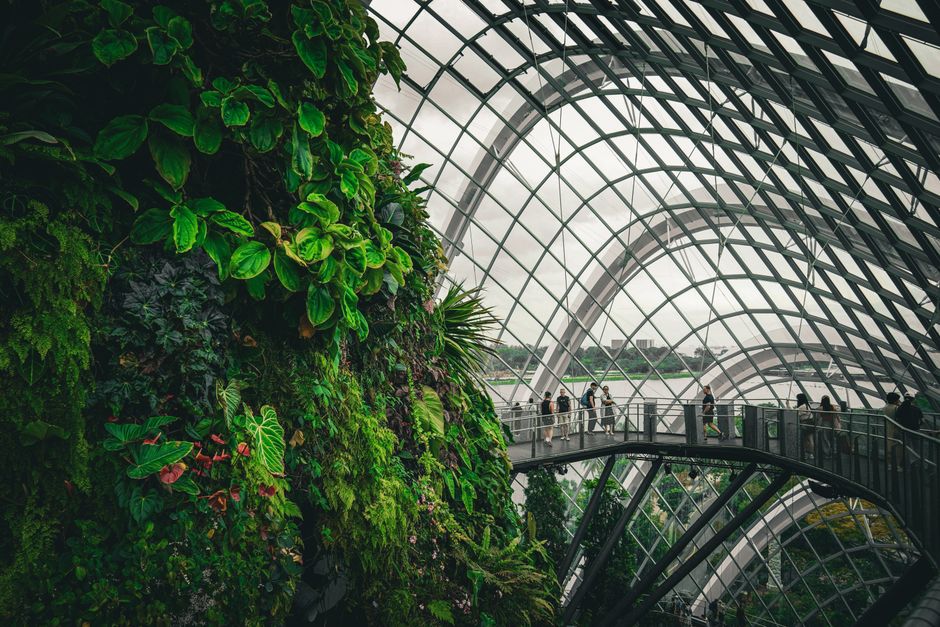 sustainable architecture firm